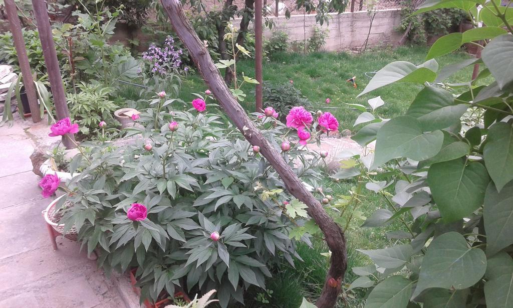 Guest House Ucha Mtsʼkhetʼa Esterno foto
