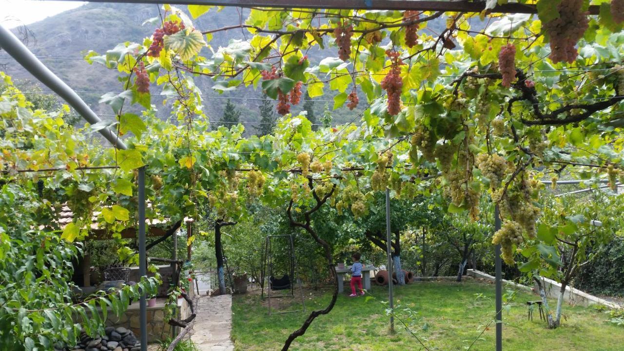 Guest House Ucha Mtsʼkhetʼa Esterno foto